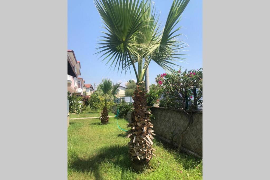 Villa Peaceful House Fethiye Exterior foto
